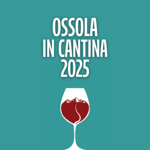 Biglietto unico "OSSOLA IN CANTINA 2025"